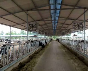 91香蕉app下载ios安装苹果安装现场