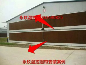 91香蕉视频污软件安装现场