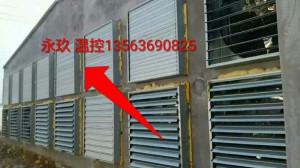 91香蕉app下载ios安装苹果安装现场