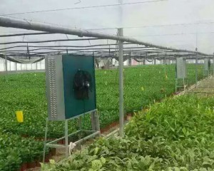 91香蕉app下载ios安装苹果安装现场