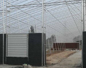 91香蕉app下载ios安装苹果安装现场